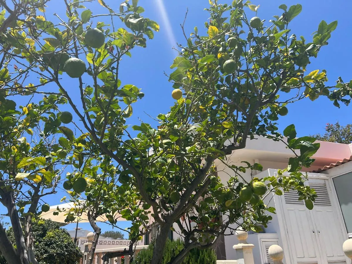 Detached Villa, Private Pool Only 10 Minutes Los Cristianos Valle de San Lorenzo Villa